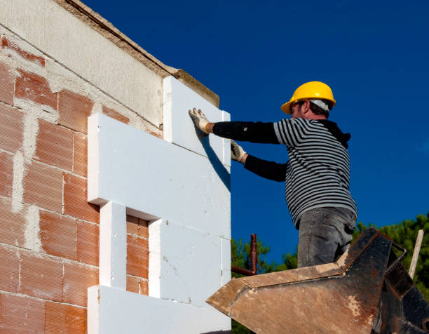 Best Insulation Maintenance and Repair in Sistersville, WV