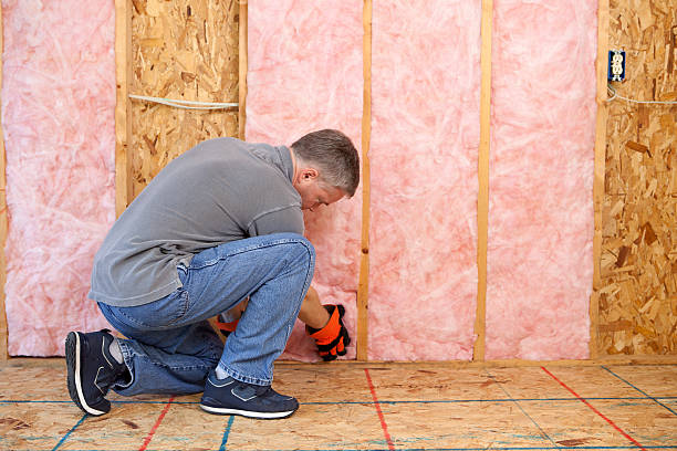 Best Eco-Friendly Insulation in Sistersville, WV